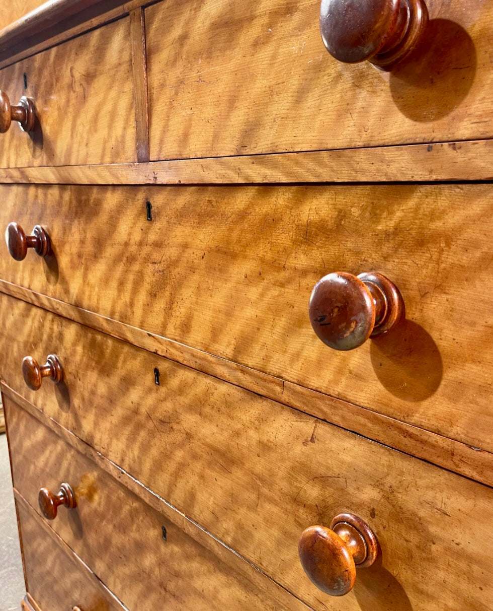 HEALS & SON Chest of Drawers Circa 1860.