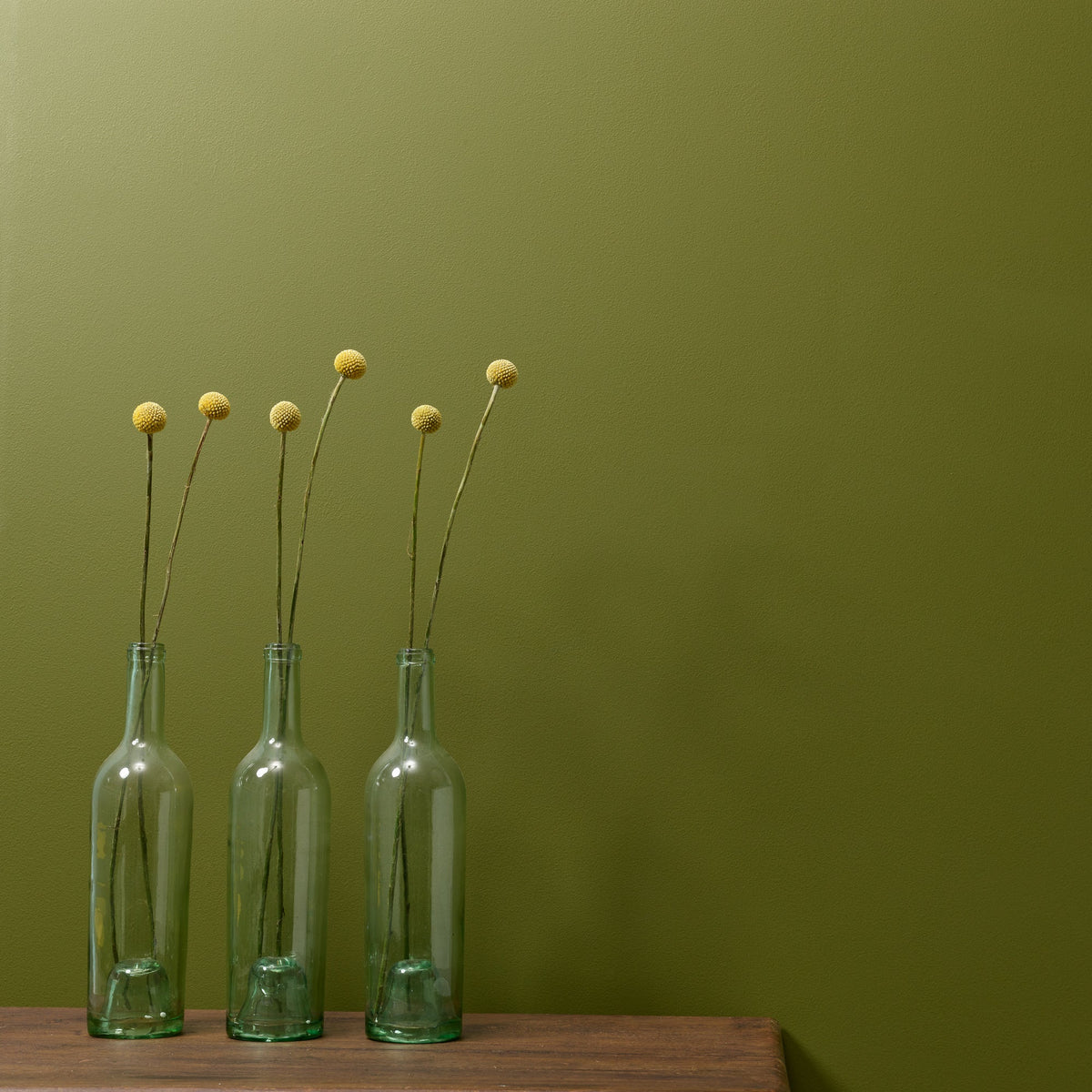 Constance Moss Wall Paint