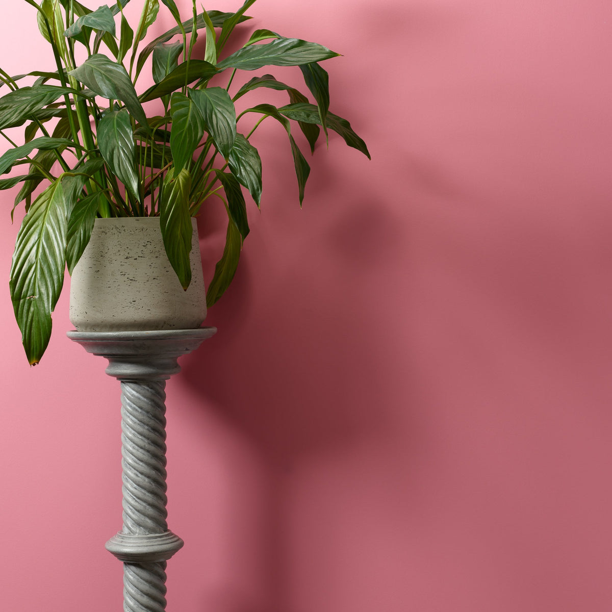 Macaroon Wall Paint Frenchic