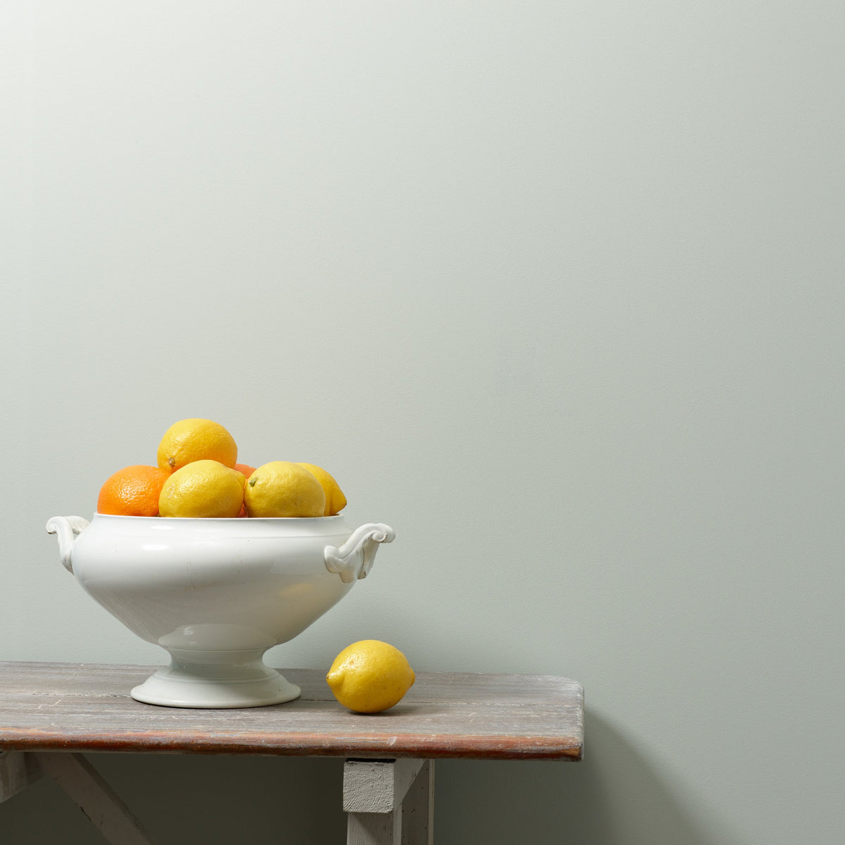 Maverick Wall Paint Frenchic