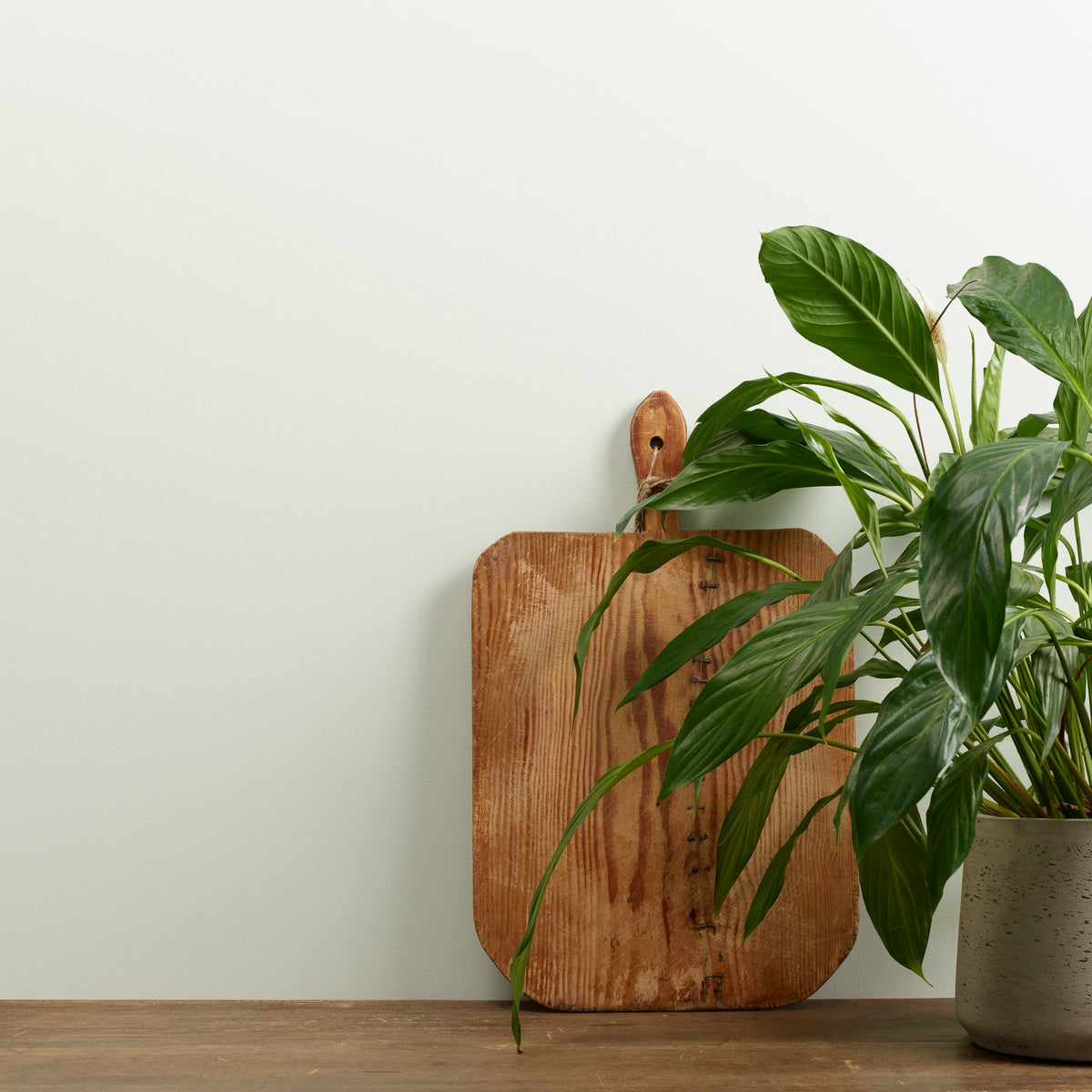 Sage Froth Wall Paint Frenchic