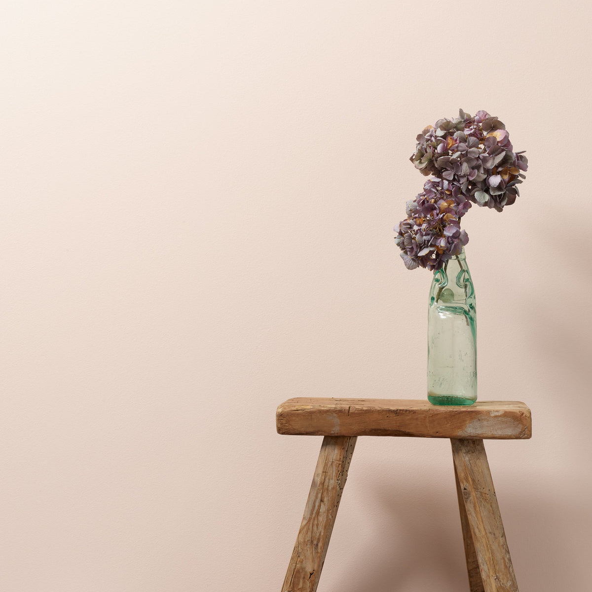 Sweetcheeks Wall Paint Frenchic