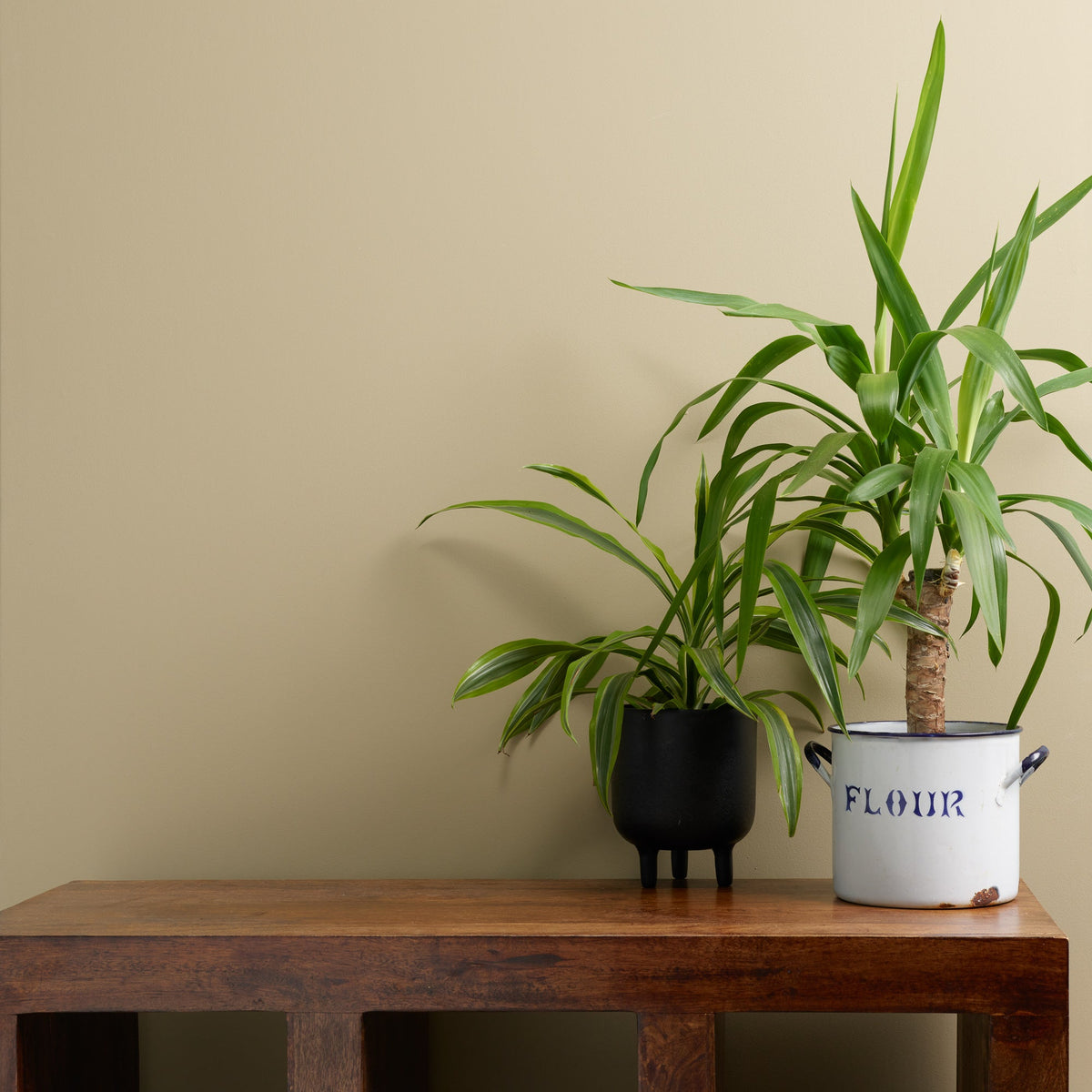 Funky Dora Wall Paint Frenchic