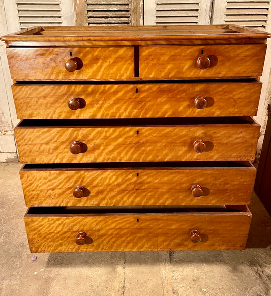 HEALS & SON Chest of Drawers Circa 1860.