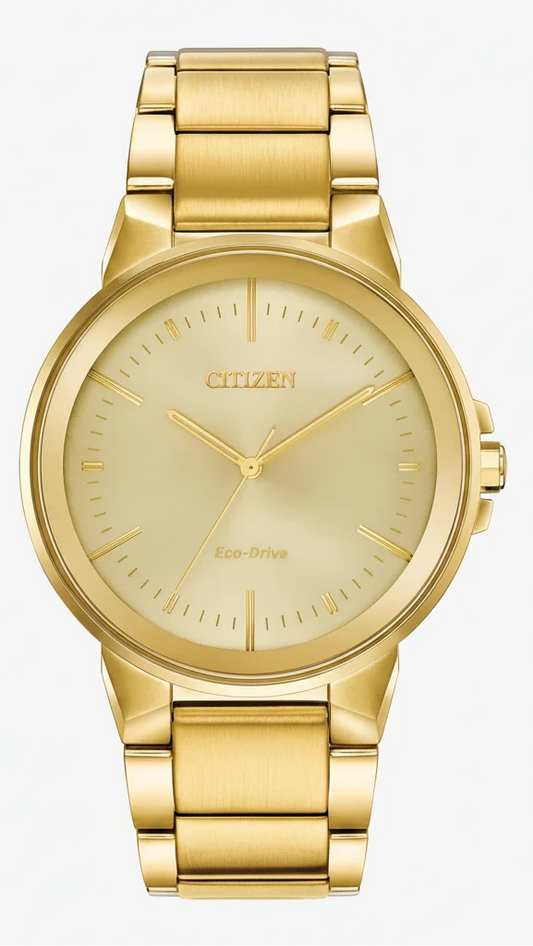 Mens Citizen BJ6512-56P