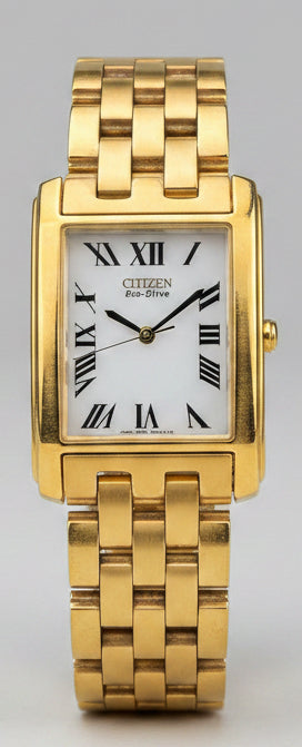 Mens Citizen E010-S004012