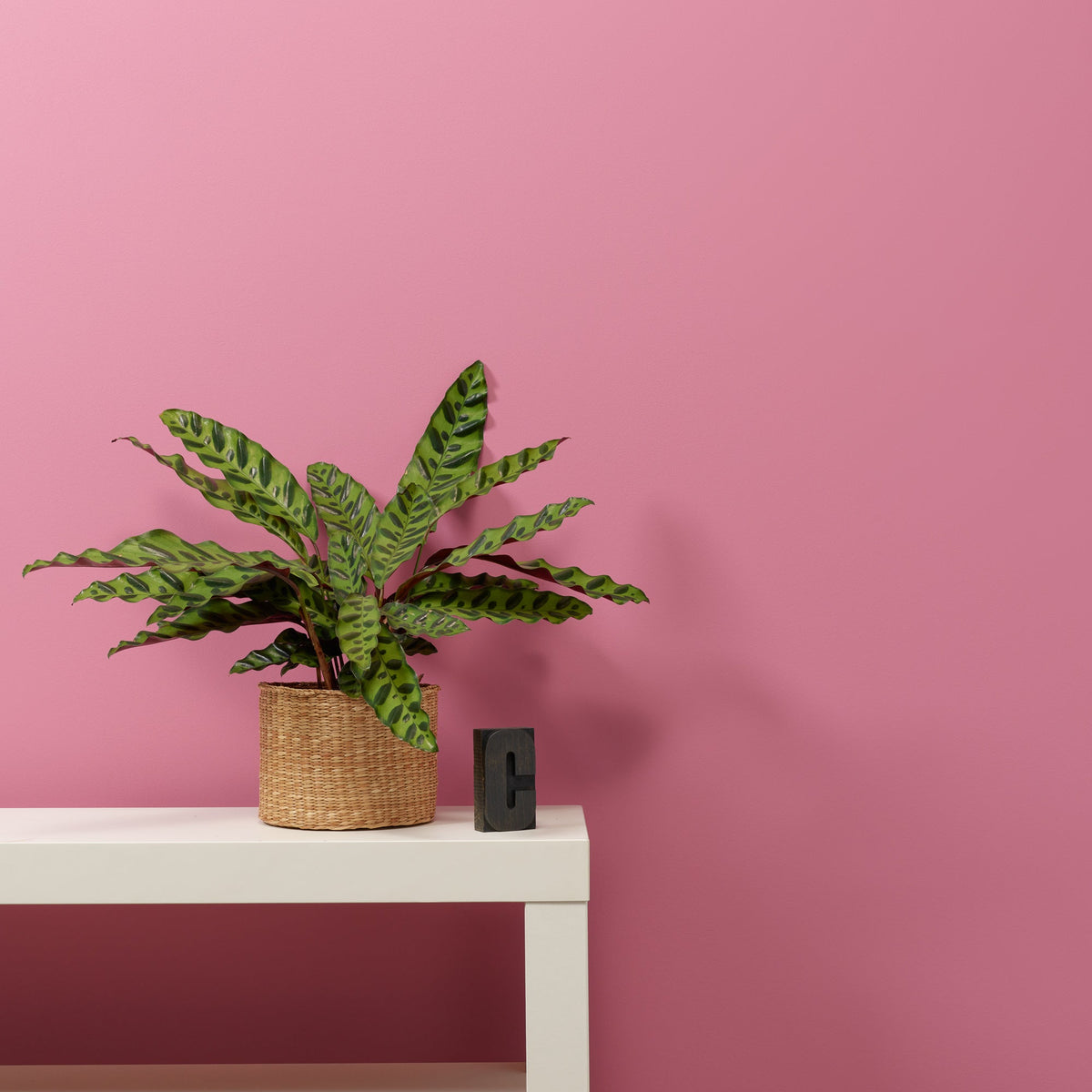 Love Letter Wall Paint Frenchic
