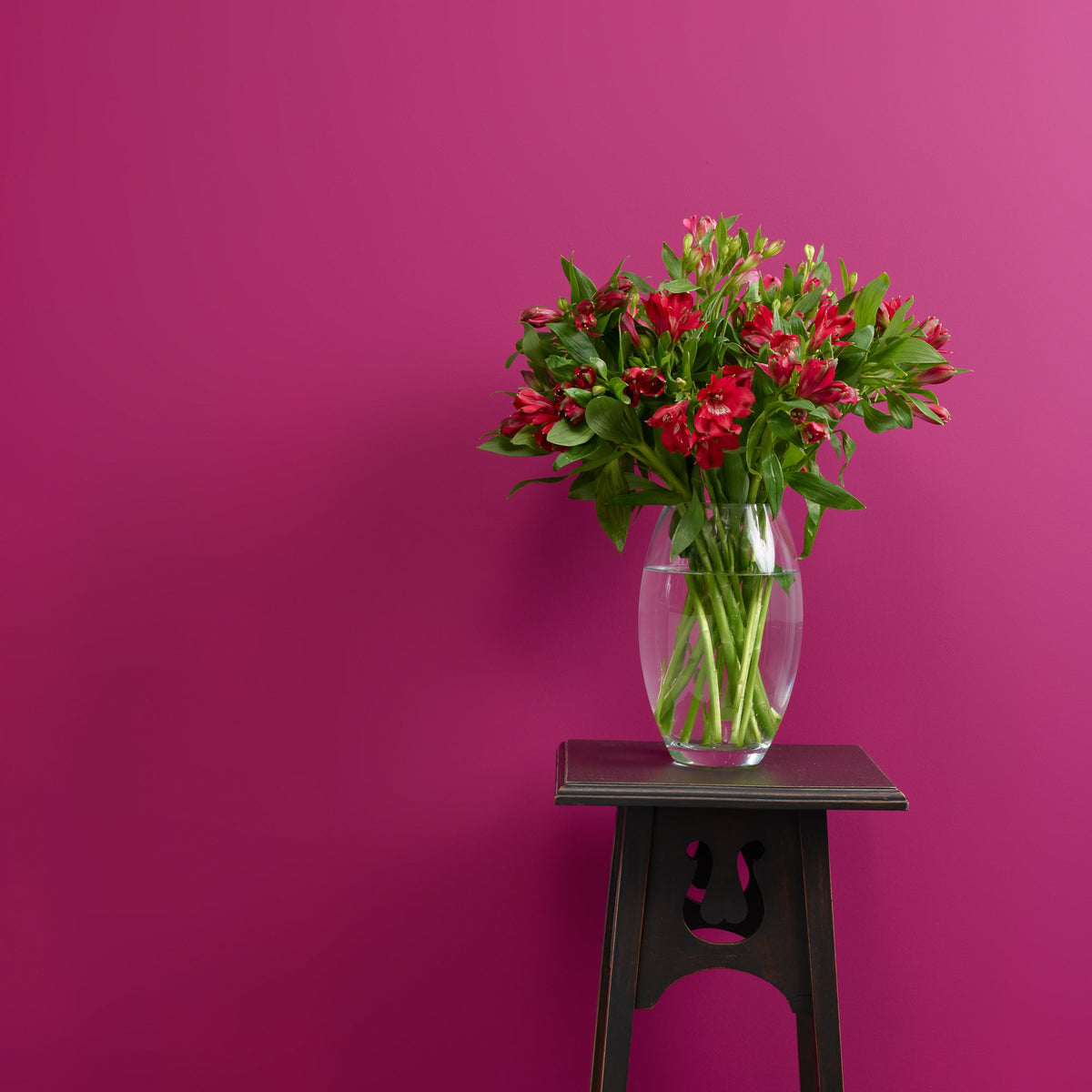 Plum Pudding Wall Paint Frenchic