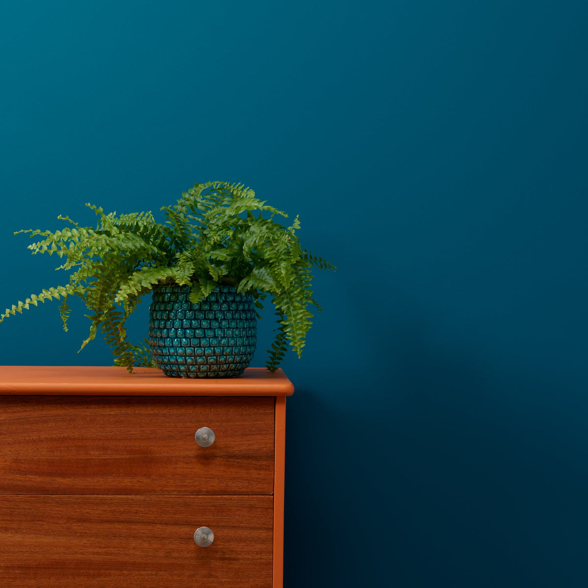 Steel Teal Wall Paint Frenchic