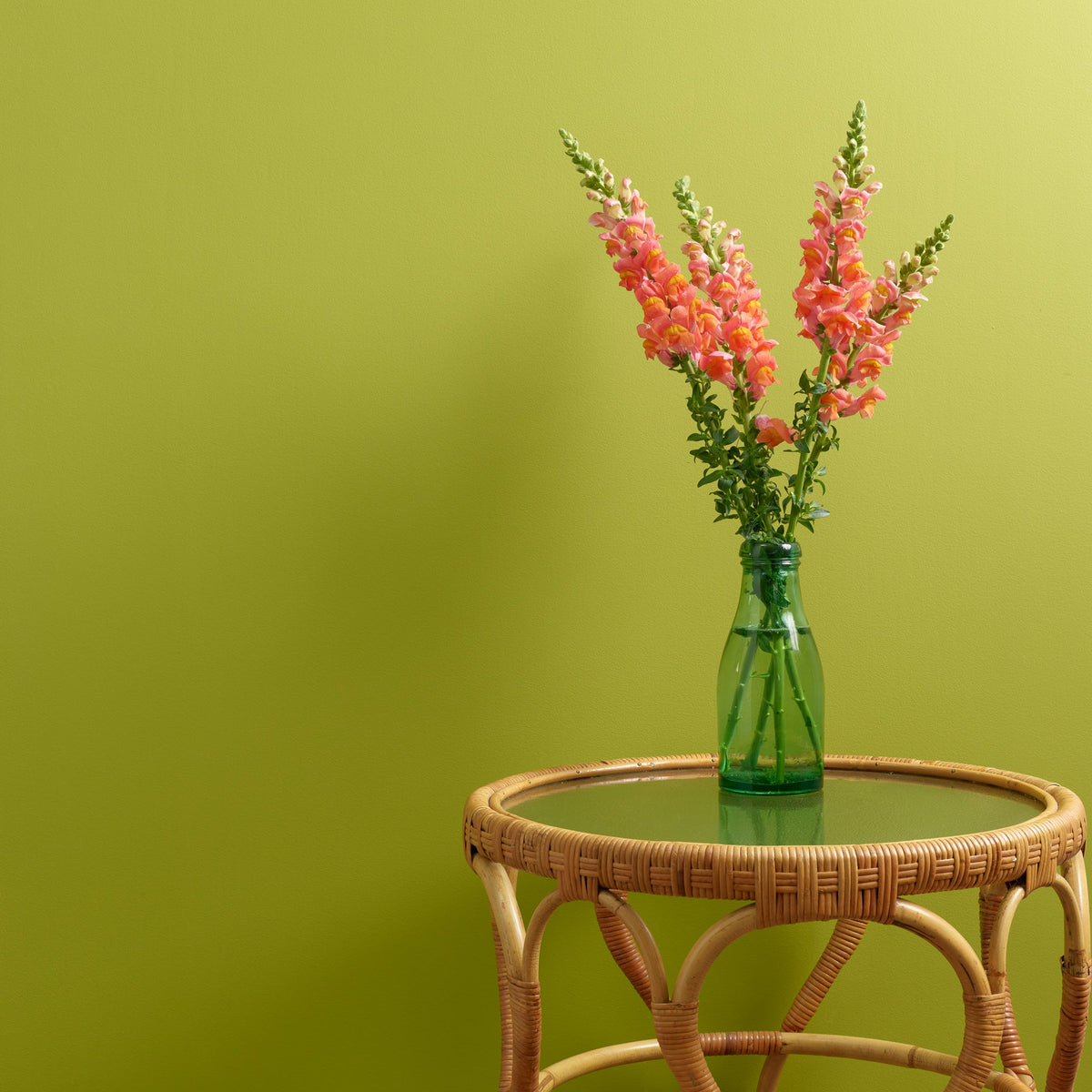 Lime Light Wall Paint Frenchic