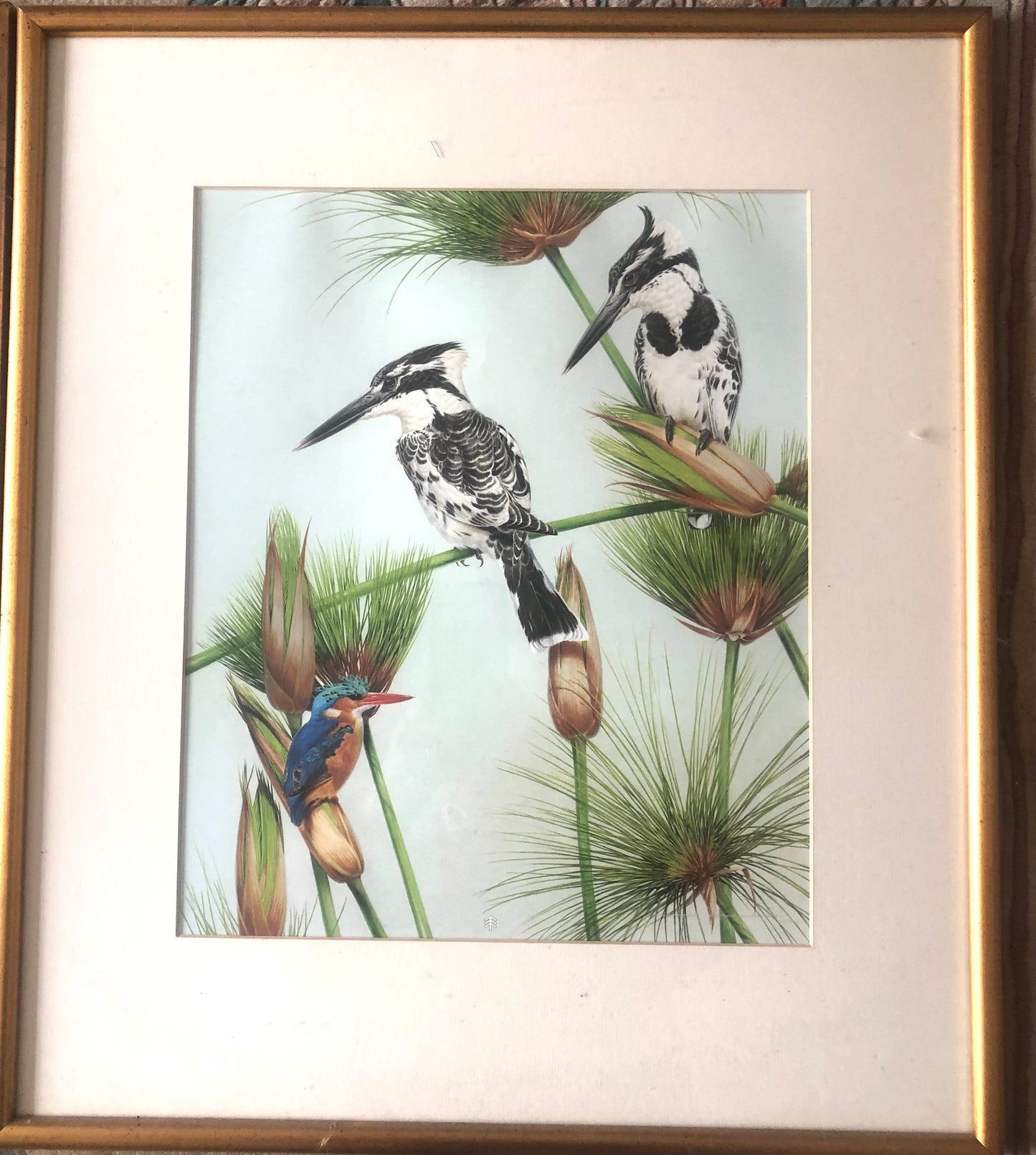 Exotic Bird Prints by world renowned David Ord Ker