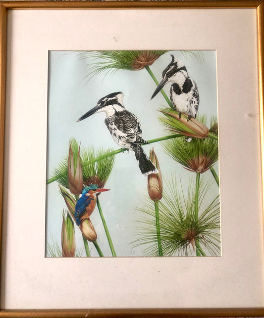 Exotic Bird Prints by world renowned David Ord Ker