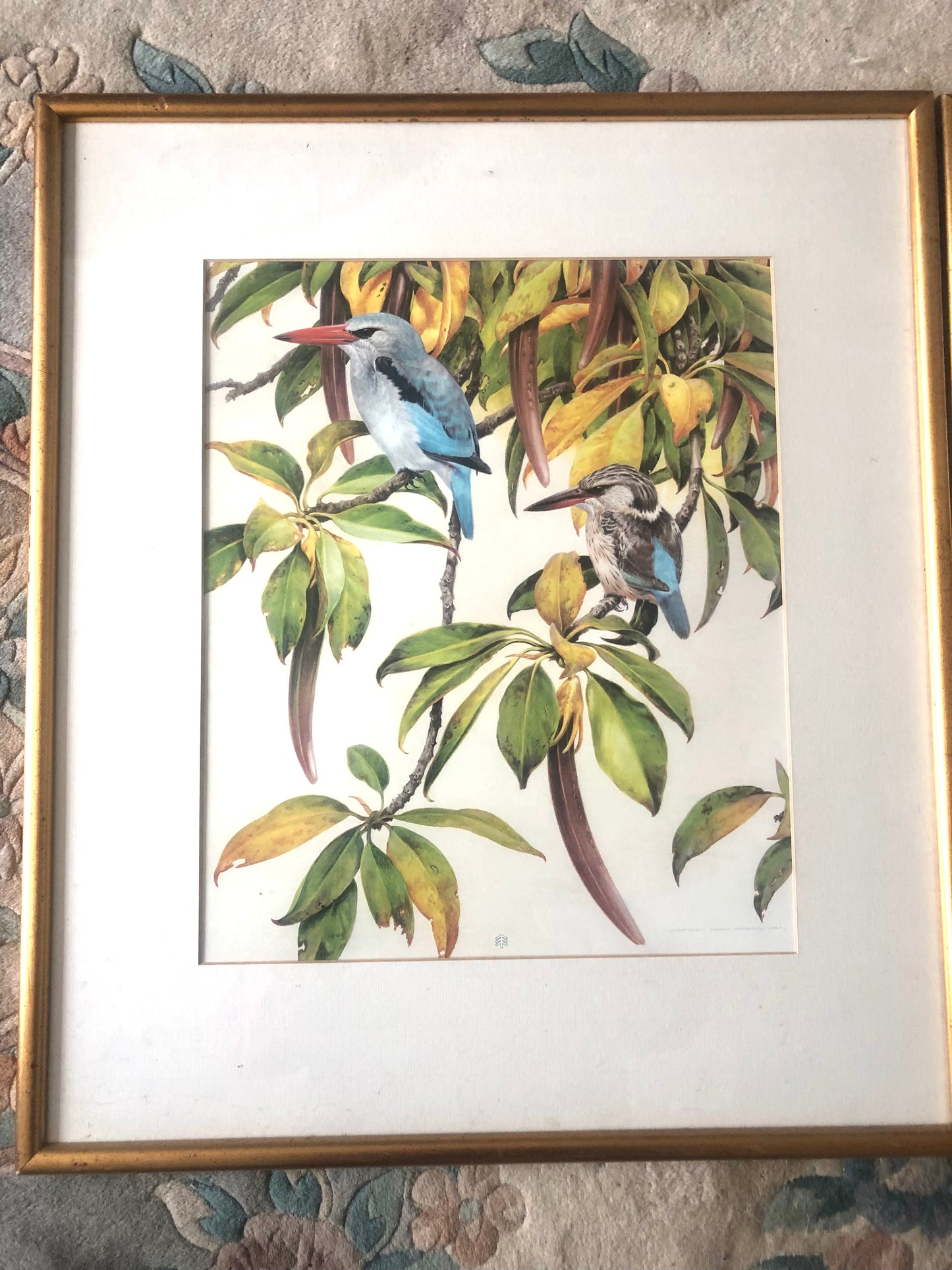 Framed Giclee Print by David Ord Ker